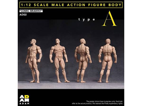 1/12 [AD-02A] コミックブラウニー男性素体A / Pale Skin