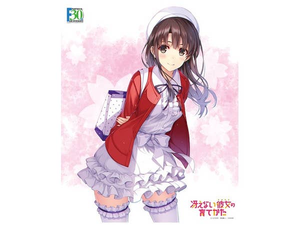 アクシアキャンバスアートNo.052-F30th 冴えカノ 加藤恵 原作版Prat.4