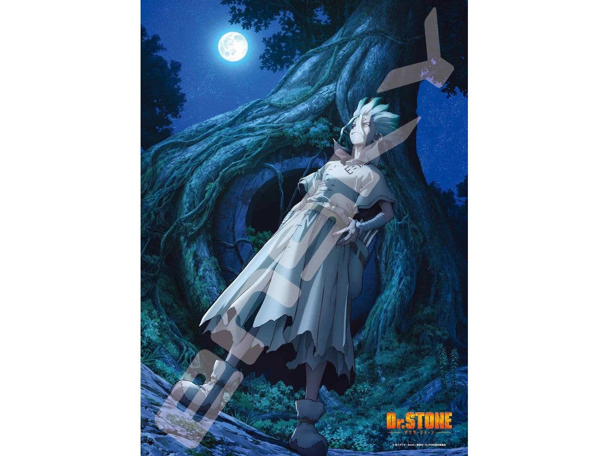ジグソーパズル Dr.STONE: NEW WORLD 500ピース (No.500-546: 530 x 380mm)