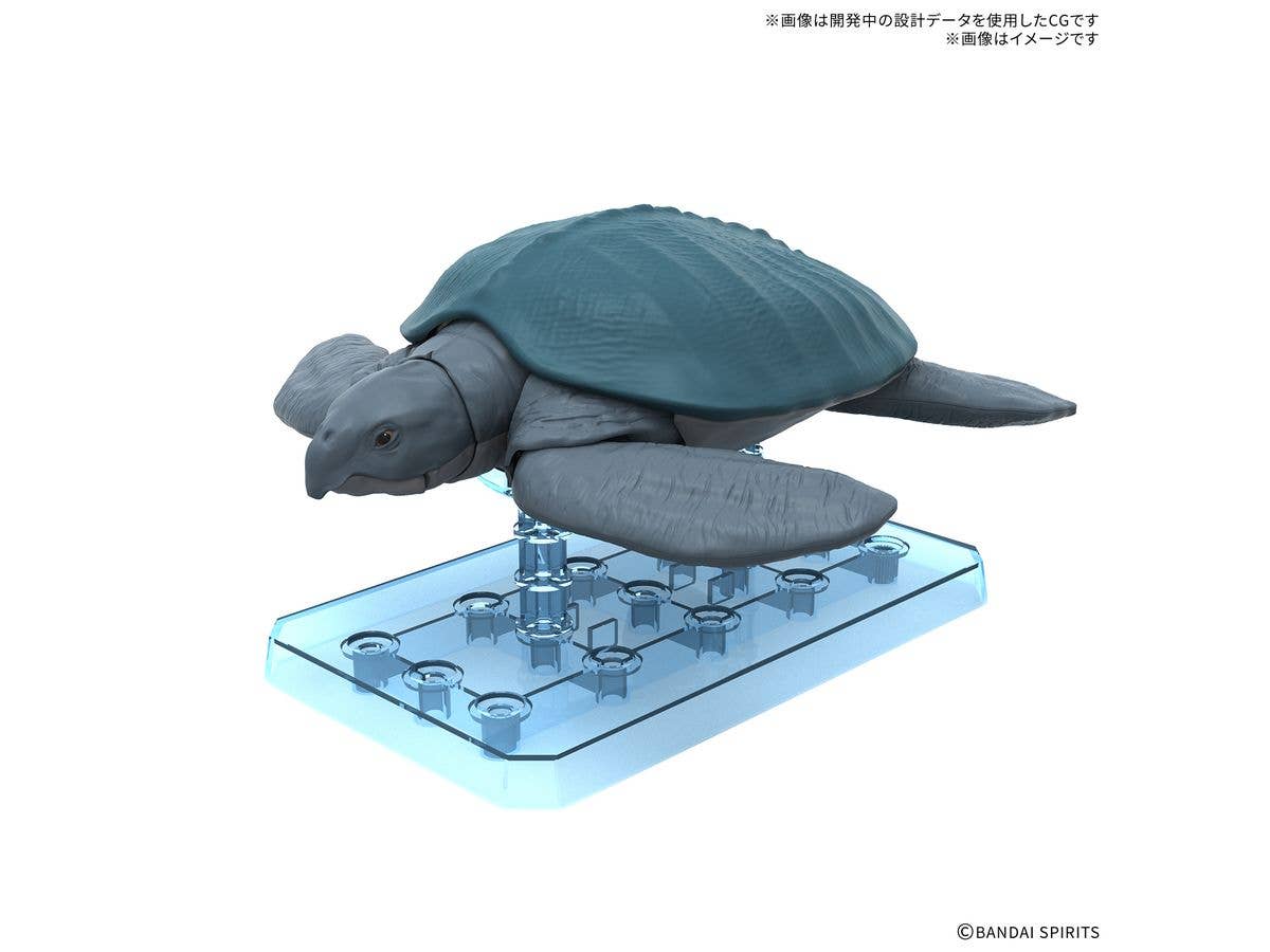 【お届け時期未定】 プラノサウルス アーケロン