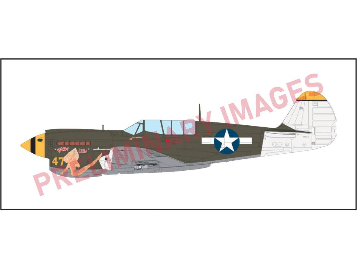 1/48 P-40N ウォーホーク ウィークエンドエディション
