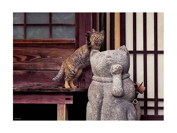 ジグソーパズル 岩合光昭のねこパズル ねこの京都 500ピース (38cm x 53cm)