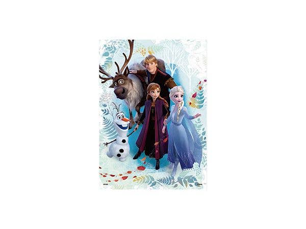 ジグソーパズル: Frozen Journey 500ピース (38cm x 53cm)