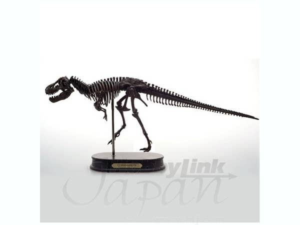 ティラノサウルス スケルトンモデル
