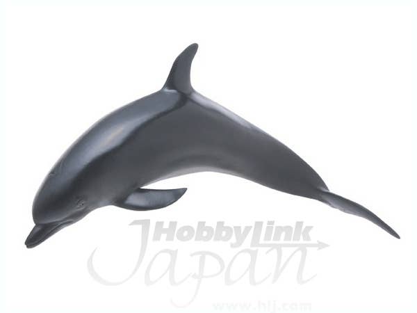 バンドウイルカ