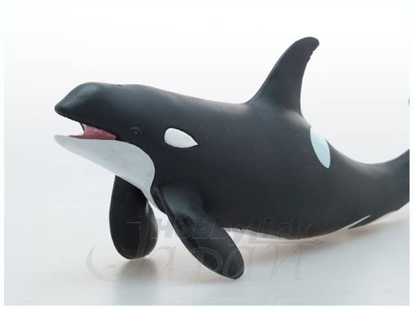 シャチ ビニールモデル