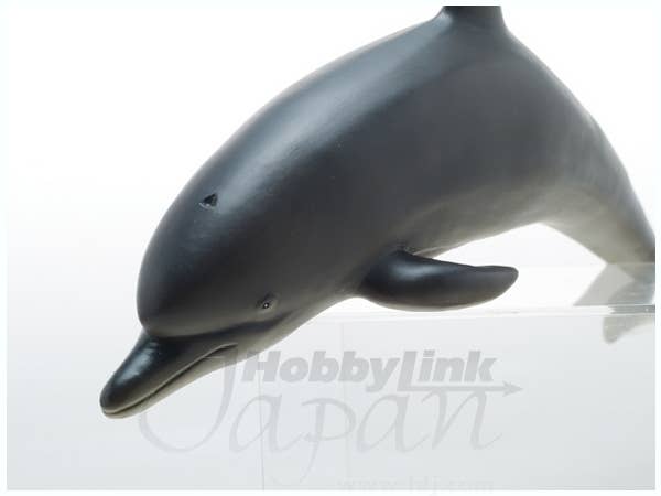 バンドウイルカ ビニールモデル