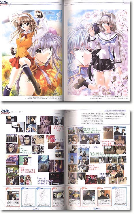 IZUMO 猛き剣の閃記 公式コンプリートファンブック