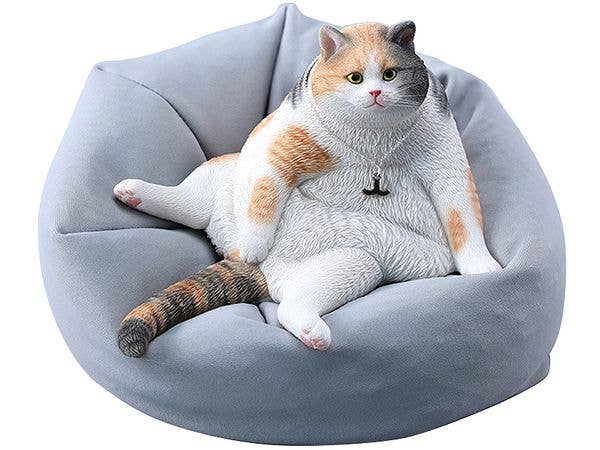 1/6 タンキング キャット A