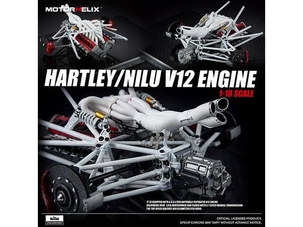 1/18 HARTLEY/NILU V12 エンジン (Nilu エンジン)