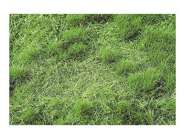 茂みのある牧草地 夏の盛り