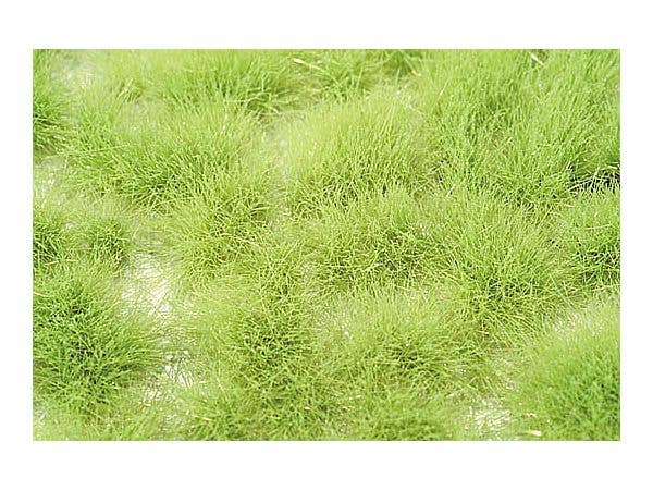 丈のある草むら 萌える春