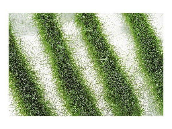 道沿いの草むら 夏の盛り