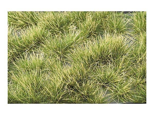 光る草の茂み 夏の盛りに