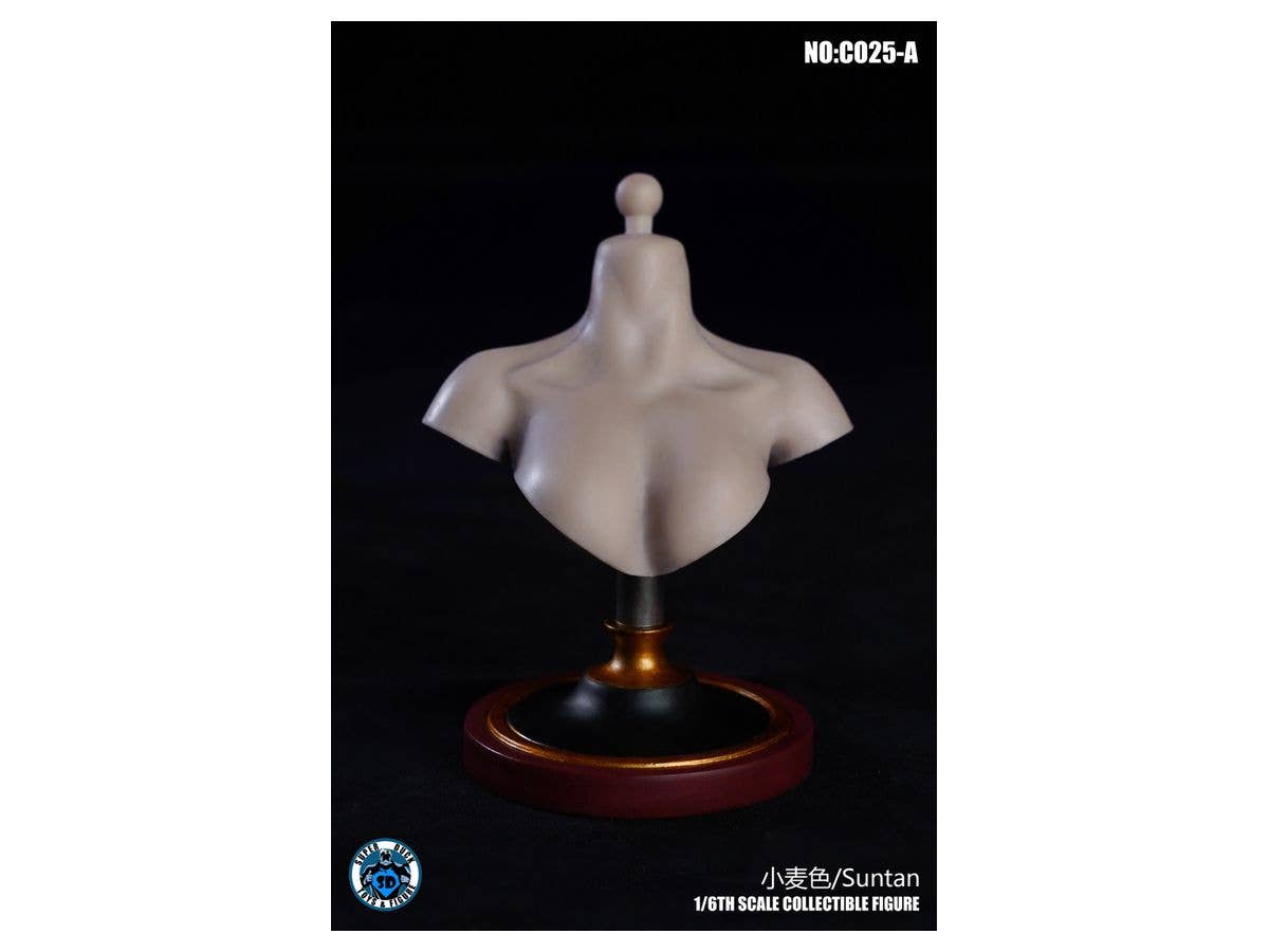 1/6 スーパーダック フィメールバストスタンド A
