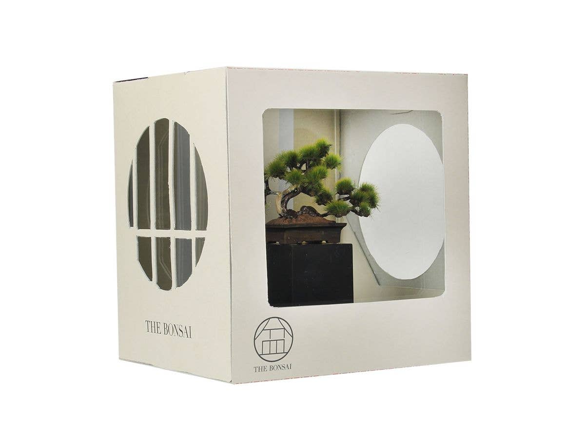 1/12 盆栽日本-BONSAI NIPPON- 壱