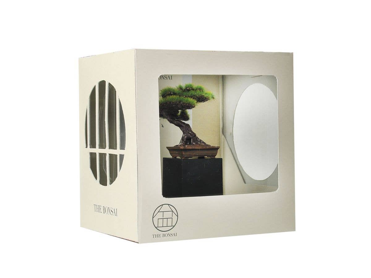 1/12 盆栽日本-BONSAI NIPPON- 弐