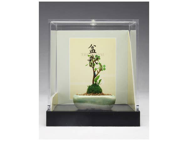 1/12 THE BONSAI 野草寄せ植え [水色角鉢]