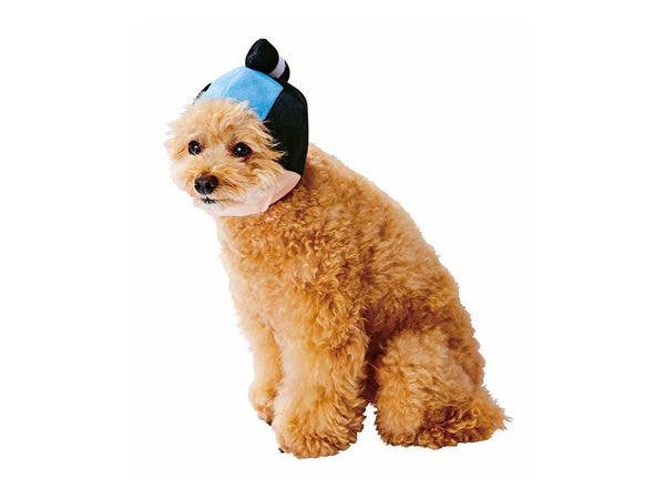 犬用変身ほっかむり ちょんまげ M