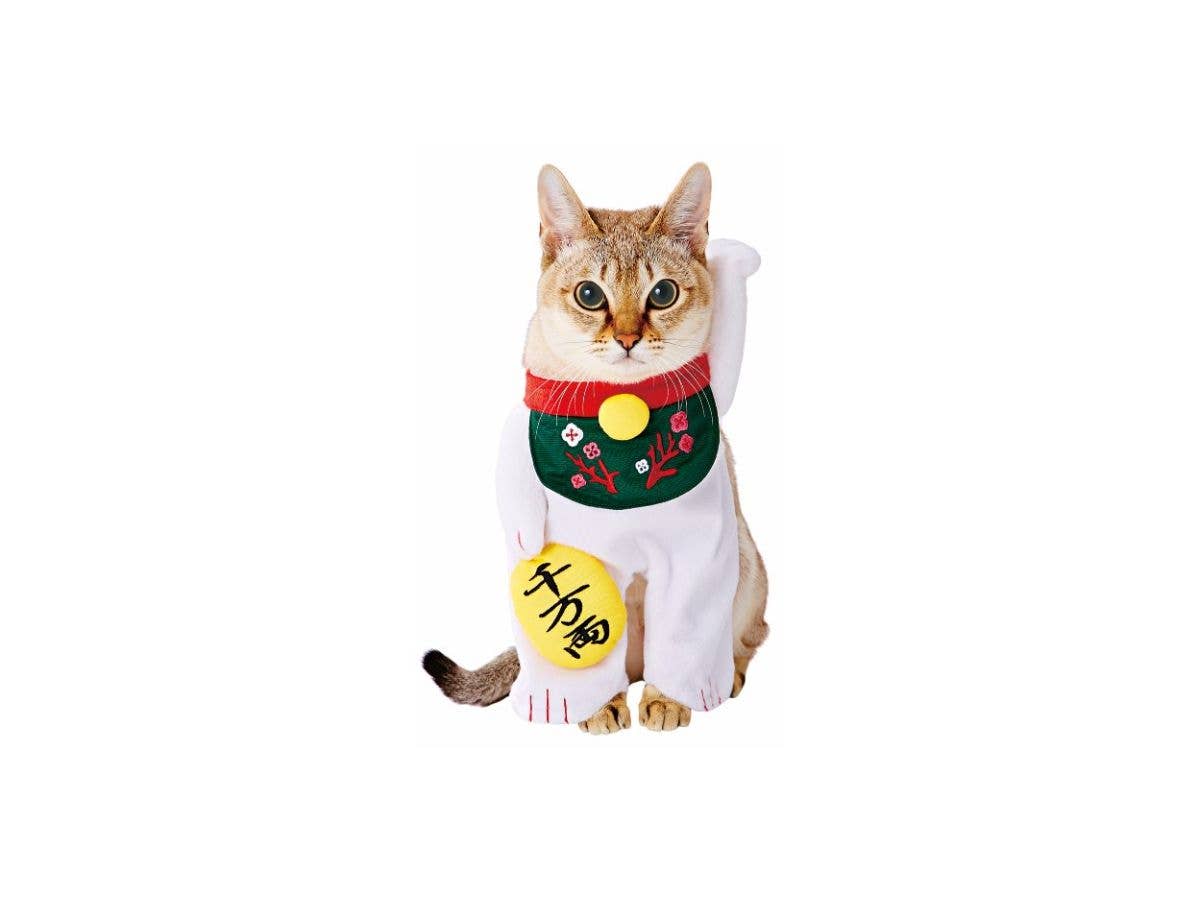 猫用変身着ぐるみウェア 招き猫