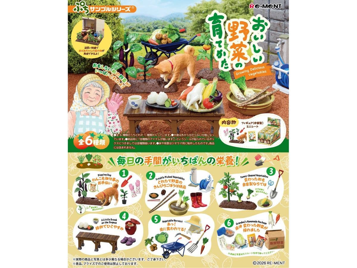 おいしい野菜の育てかた 1Box 6pcs
