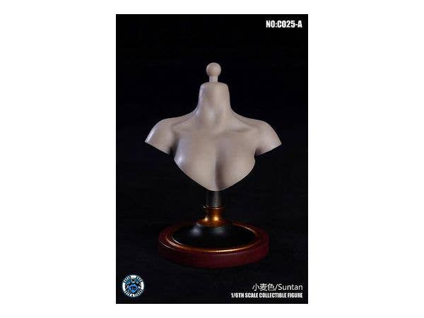 1/6 女性胸像 A (タン)