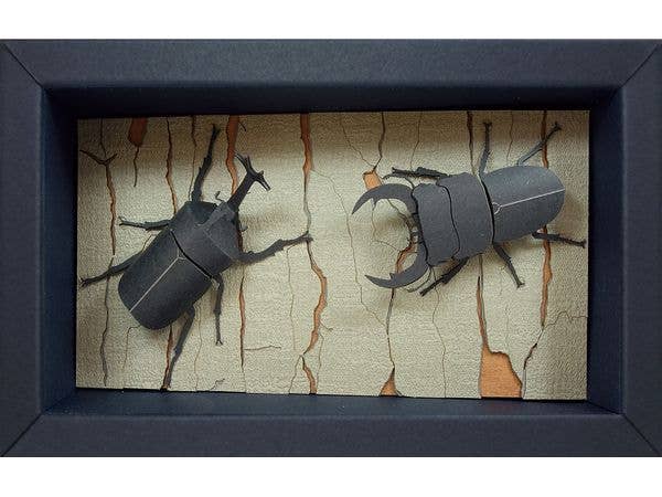 Japamini(ジャパミニ)シリーズ カブトムシとオオクワガタ