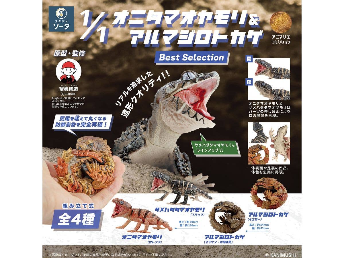 1/1 オニタマオヤモリ&アルマジロトカゲ Best Selection 1Box 4pcs