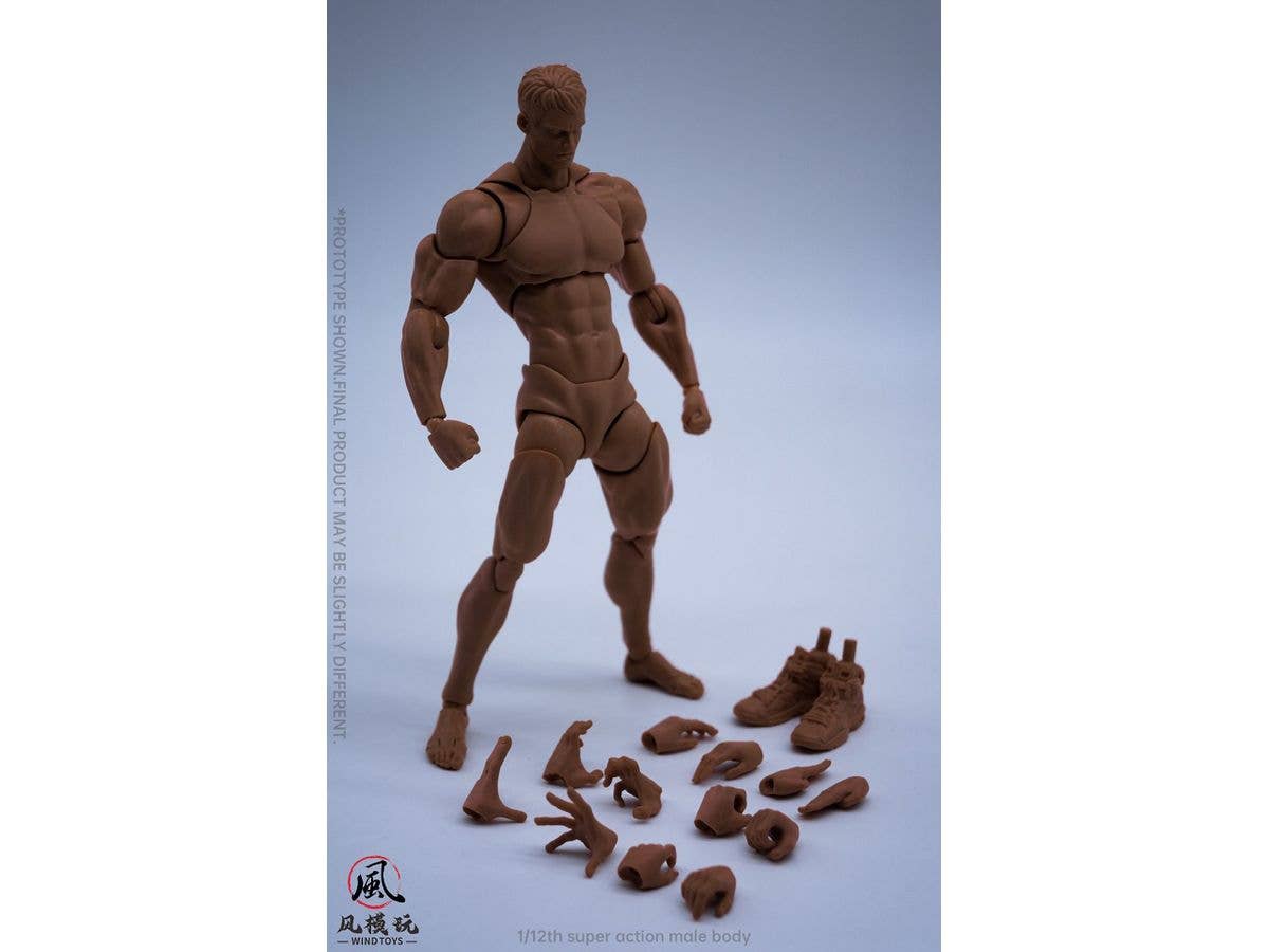 1/12 (WT-001C) スーパーフレキシブル男性素体C / ブラウンスキン