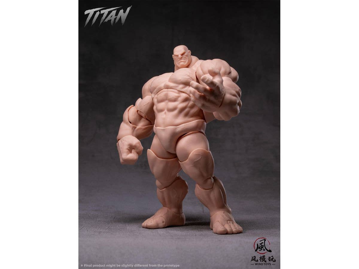 1/12 可動フィギュア素体 タイタン FMW009 ノーマル