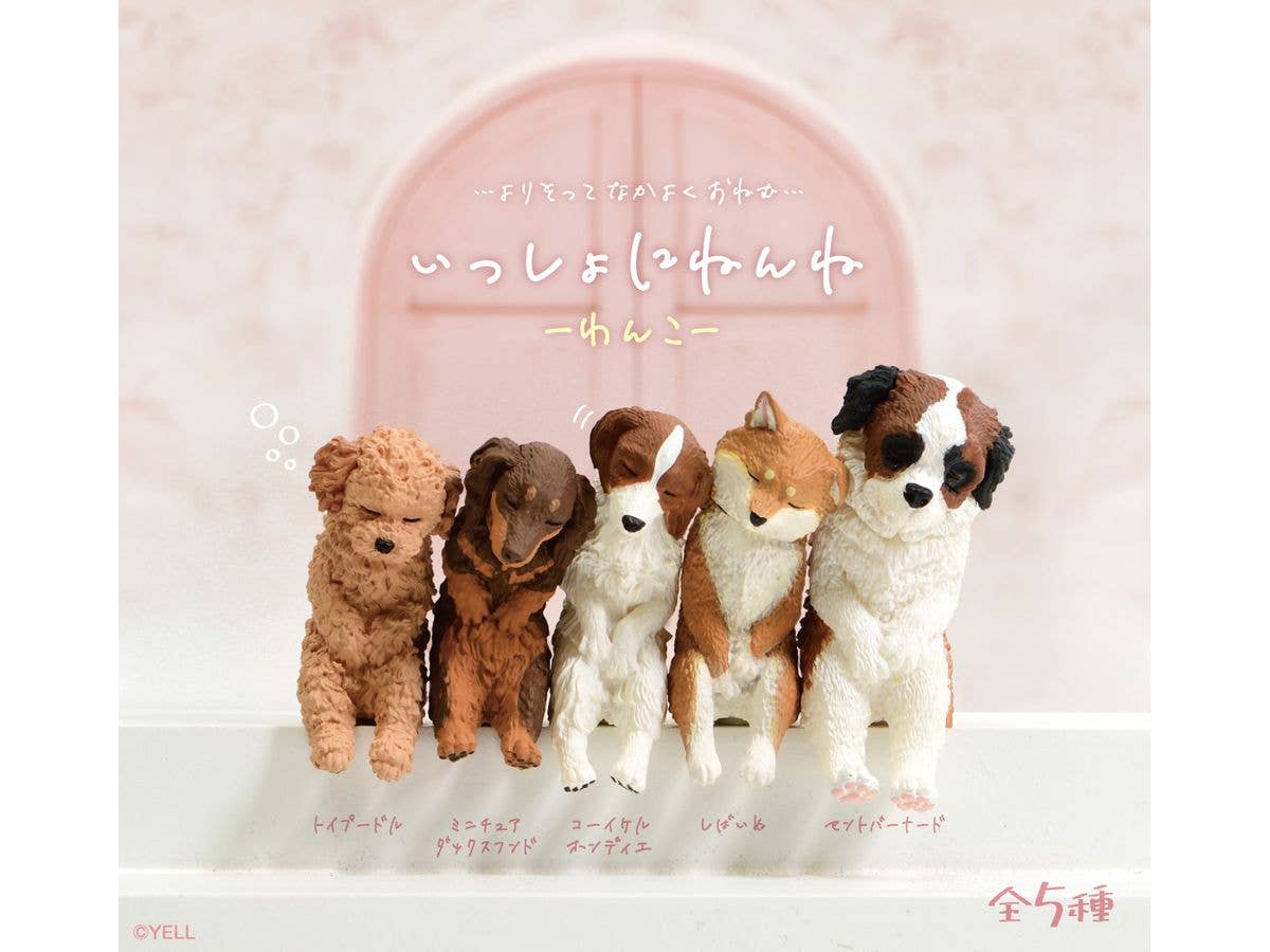 いっしょにねんね わんこ 1Box 10pcs