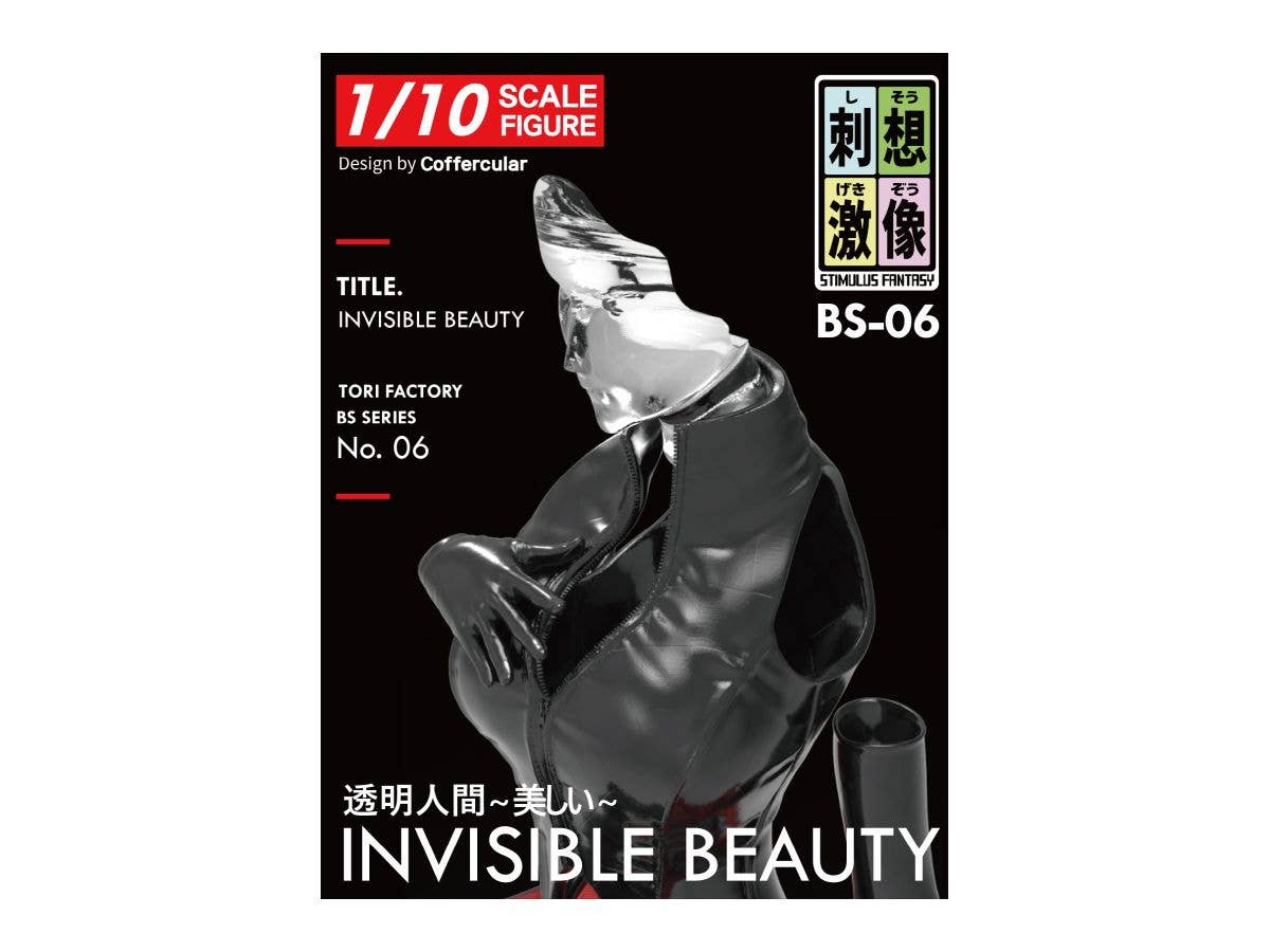 1/10 インビジブルセクシー